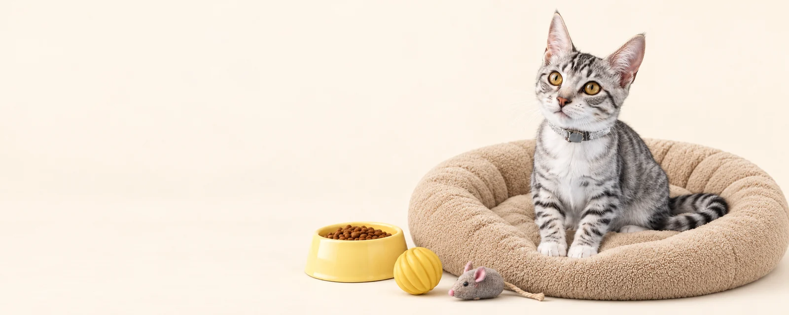 Poppi, la gatita atigrada gris de ojos ámbar, en su cama arena junto a sus juguetes y cuenco amarillo.